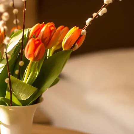 Hotel Heldt 4*