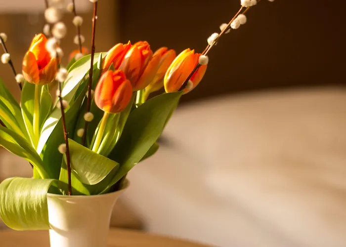 Heldt Отель Бад-Пирмонт